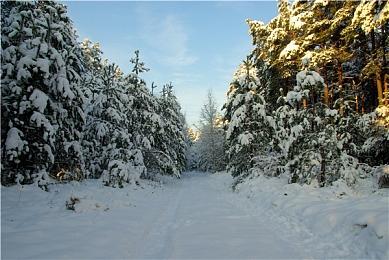 《耀斑纪元》12分钟实机公布 1月18日Steam EA发售